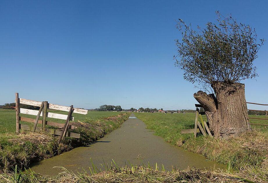Dit is de meeste gedownloade NS-wandelroute van 2023 / Foto: "Tussen Ameide en Meerkerk, sloot in polderlandschap" door Michiel Verbeek