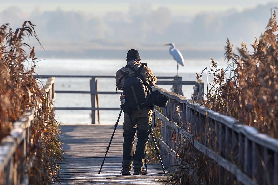 Natuurfoto van de Maand van vorige maand