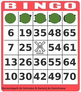 Bingo 18+  logo
