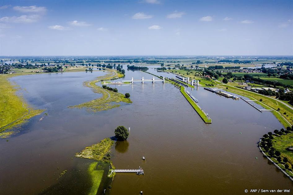 Uiterwaarden rivier van Rijn
