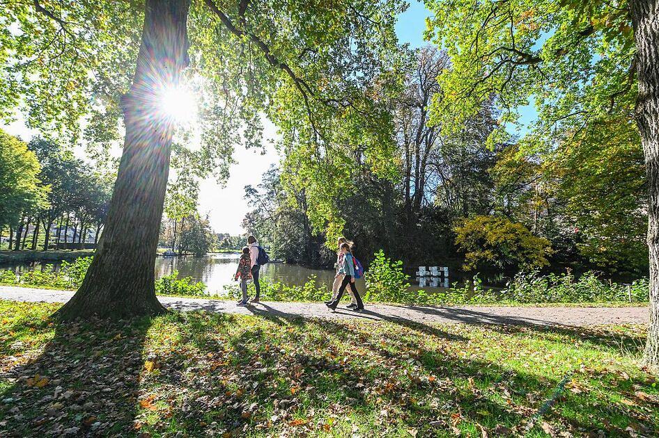 ‘Oktober is de mooiste maand voor een wandeling op de Utrechtse Heuvelrug’