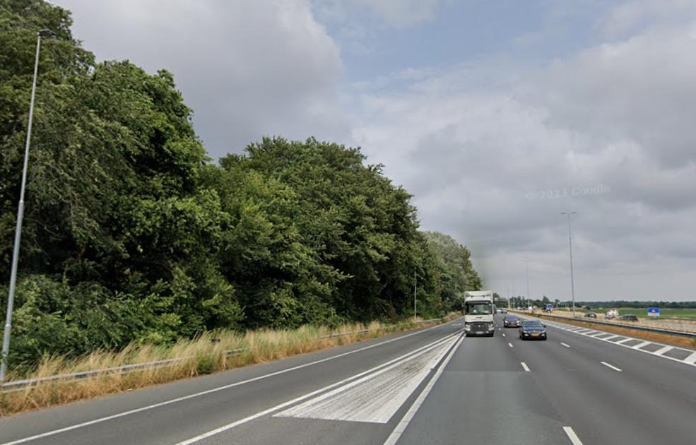 Verzet tegen bomenkap Naarderbos: 'Absurd plan' / Foto: Google Maps https://maps.app.goo.gl/7UcVEot6n3dBEdbu5