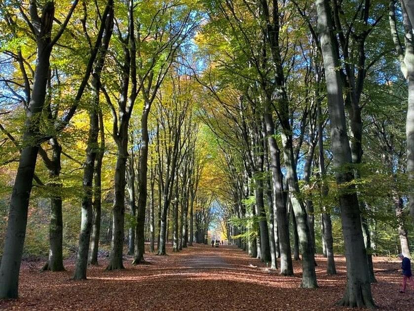 Wandelnetwerken vaak gebruikt en scoren vooral in Drenthe goed