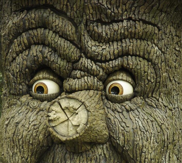 Sprookjesboom in Efteling vertelt geen verhaaltjes / Foto: Sprookjesboom door Meindert van D