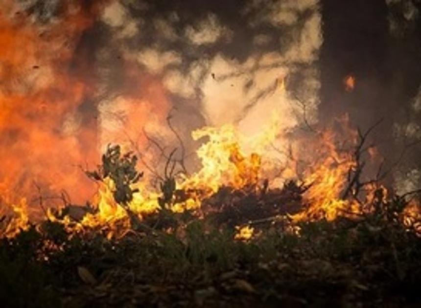 Nieuw model ontruimingsplan voor natuurbranden bij recreatieterreinen 