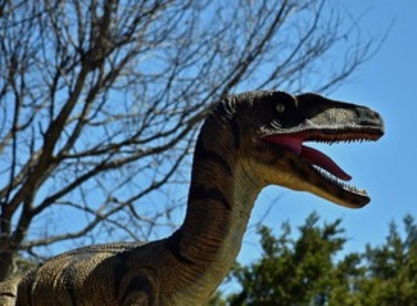 Skelet van dinosauriër Jurassic Park voor 12,4 miljoen geveild