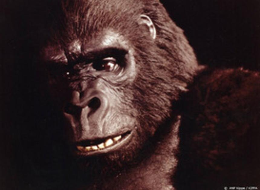 King Kong krijgt waarschijnlijk live actionserie op Disney+