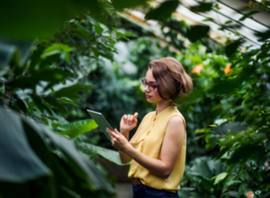 Wildlands Emmen verlaagd temperatuur in tropische kas wegens hoge kosten