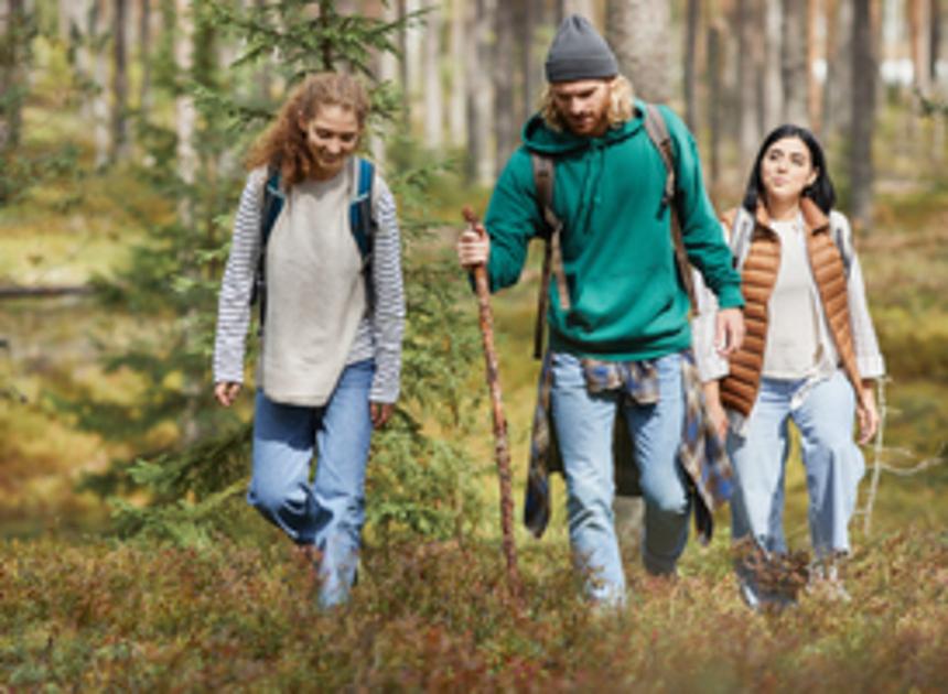 In het najaar nieuwe padenstructuur in het Harderbos