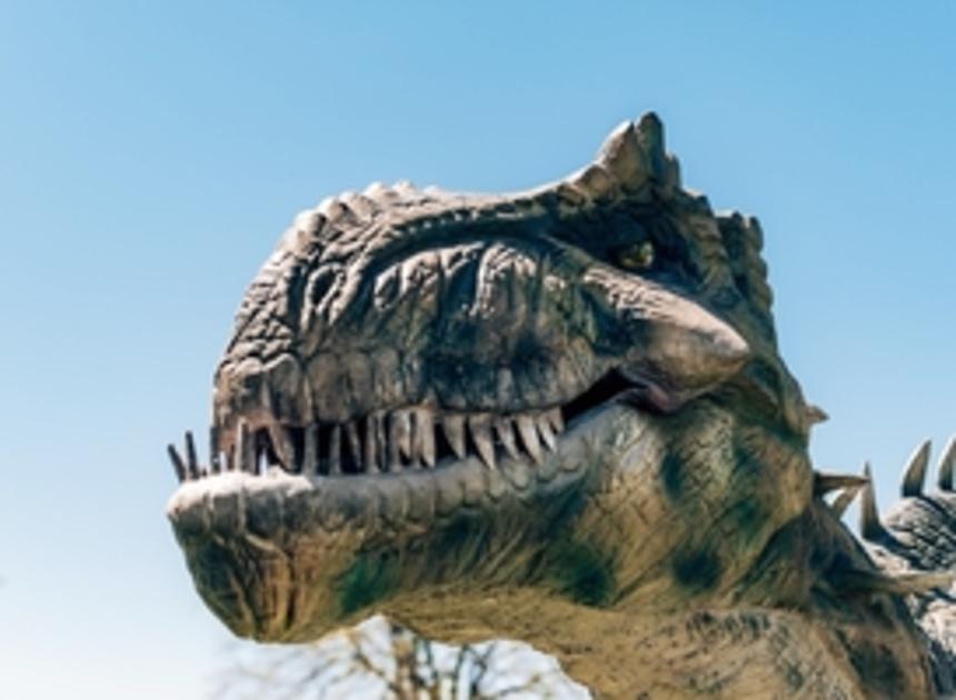 Dinobos in DierenPark Amersfoort vernieuwd, opening komend weekend