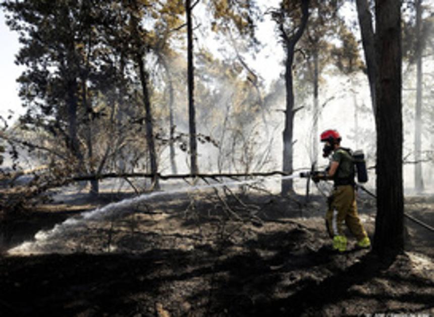 Politie verdenkt 17-jarige jongen van aansteken natuurbranden