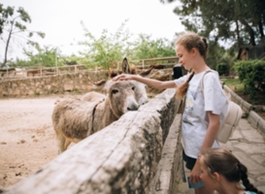 Dierentuin Burgers' Zoo weer bijna op bezoekerspeil van voor pandemie