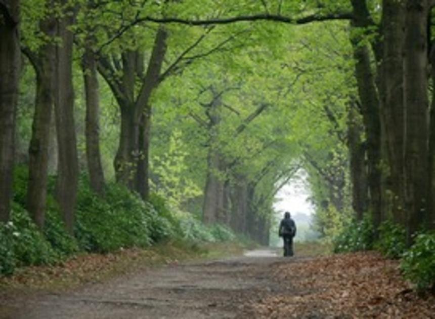 Overijssel is de meest verassende toeristische bestemming dit jaar