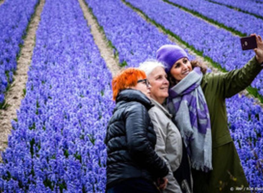 Tulpenfestival in Flevoland krijgt speciale 'selfievelden'