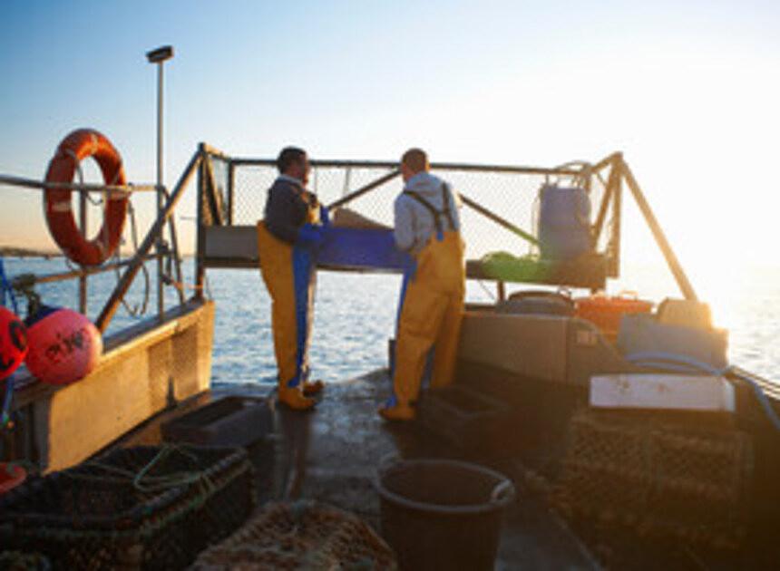 Natuurorganisaties vechten gedoogbesluit LNV over garnalenvisserij aan