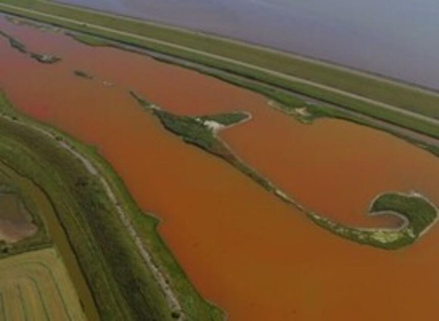 Waarom kleurt dit natuurgebied op Texel oranjeroze?
