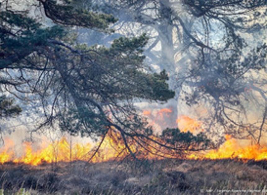 Grote natuurbrand in natuurgebied De Peel