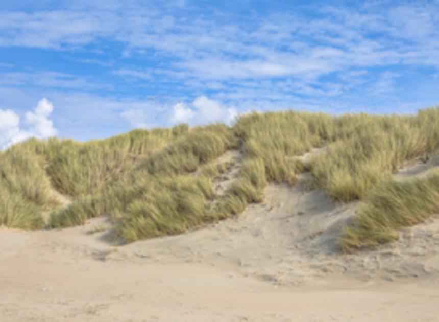 Fietspaden in Noord-Holland verzanden door groeiend aantal zandverstuivingen