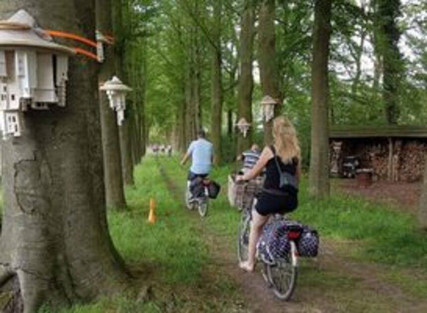Beleef de mooiste Overijsselse streekkunst tijdens deze culturele fietstocht