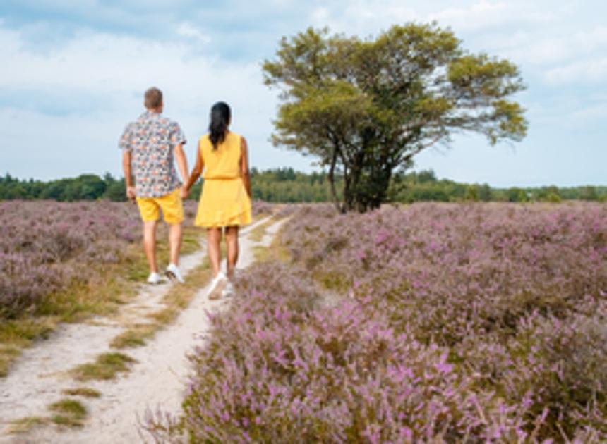 Natuurmonumenten sluit delen natuurgebied Wolfheze in eerste maanden 2023