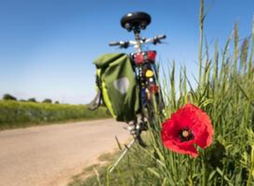 Zeeland beste fietsprovincie in Nederland, Randstad scoort slecht