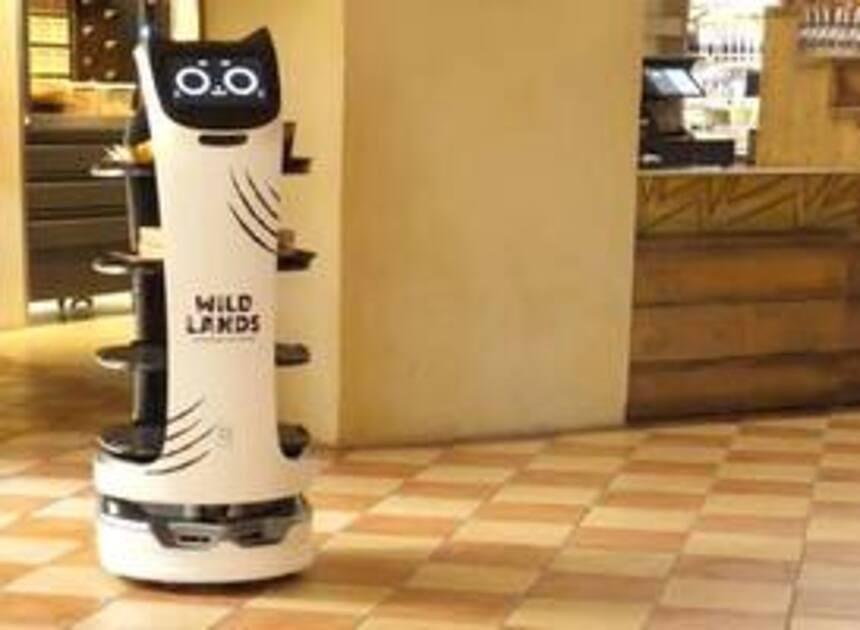 Robotbediendes serveren gasten in Wildlands Emmen