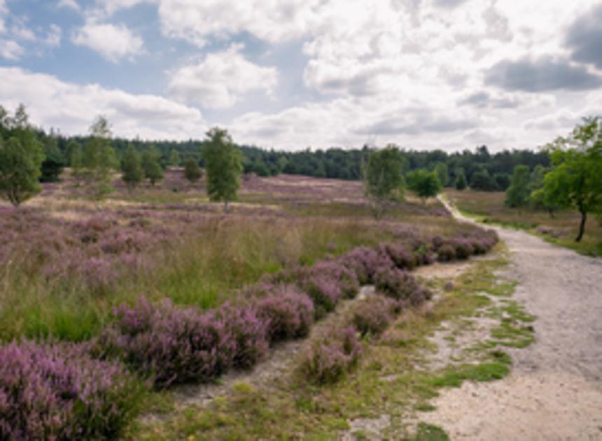 Park de Hoge Veluwe gaat natuurcamping per 2023 sluiten