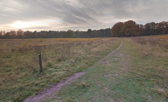 Ophef over vakantiepark bij Brabants natuurgebied: ‘Flinke impact op omgeving’ / Afbeelding: Google Maps door Niels Jacobs https://maps.app.goo.gl/gBPKSvG4uupRoNAq9