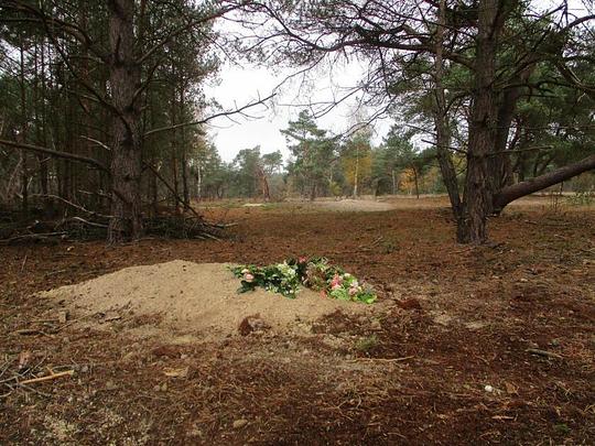 Natuurbegraafplaats naast camping in De Lutte voorlopig goed / Foto: "Nieuw natuurgraf met bloemen na de begrafenis op Natuurbegraafplaats Hoogengraven, november 2022" door Wickey