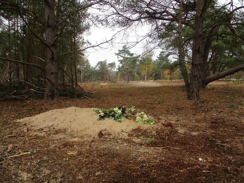 Natuurbegraafplaats naast camping in De Lutte voorlopig goed / Foto: "Nieuw natuurgraf met bloemen na de begrafenis op Natuurbegraafplaats Hoogengraven, november 2022" door Wickey