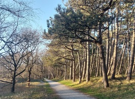 Vijf voordelen van een ouderwetse tentvakantie in de natuur