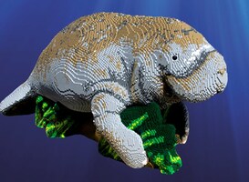 Reusachtige orka in Burgers' Zoo maar dan van miljoenen blokjes