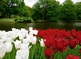 Vernield waterpark krijgt 25.000 euro van provincie