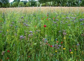 Open Dag in het mooiste natuurgebied van Twente
