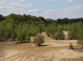 Verlaten tent in Twents recreatiepark, politie vreest verdrinking