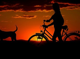 Tips voor wandelen met de hond in de natuur