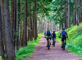 Je gewone fiets omtoveren tot een e-bike?