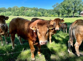 Streekproductenroute langs natuur en historie in Twente