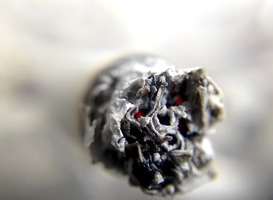 Meer dan 1500 vrijwilligers ruimen 86000 sigaretten op van de Noordzeekust