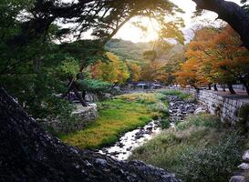 Ontdek het traditionele verleden van Zuid-Korea