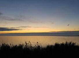 Knarland bij Zeewolde: voor suppende dagjesmensen