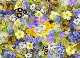 Bloemoptocht Eelde met feestelijke optredens van o.a. Jeroen van der Boom