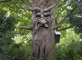 Efteling-fans bevechten elkaar in de rij voor merchandise Spookslotattractie