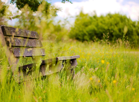 Wandelaars mogen zelf bankjes plaatsen met subsidie provincie Utrecht
