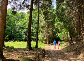 Overgrote meerderheid ervaart overlast door recreanten in de natuur