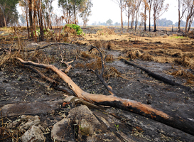 Deel van natuurgebied Mariapeel weer opengesteld voor publiek