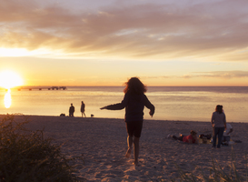 'Groene Strand Wimpel' uitgereikt aan acht Nederlandse stranden
