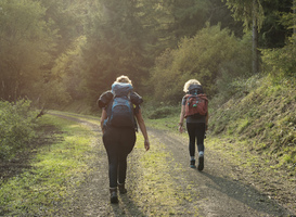 Limburg vraagt aandacht voor speciale stiltegebieden in de provincie