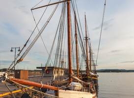 Groot deel van schepen in bruine vloot heeft ongeldige certificaten