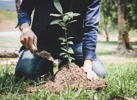 N246 bij Buitenhuizen krijgt natuurimpuls van Rijkswaterstaat